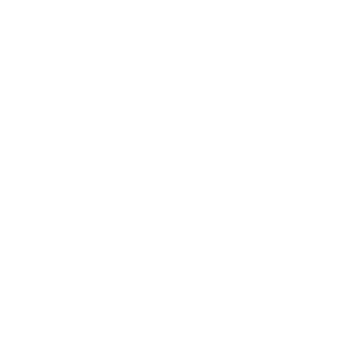 История России